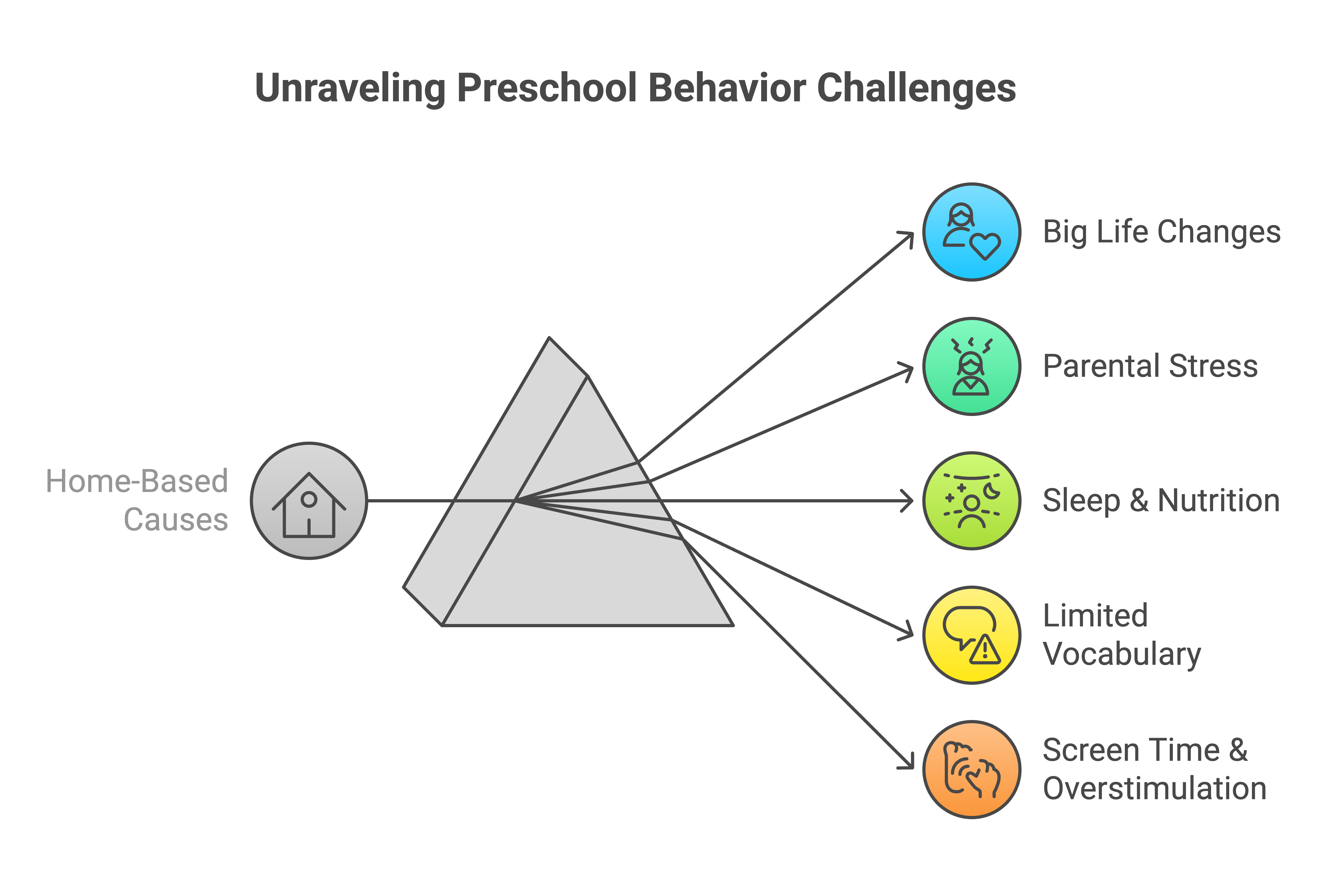 Possible Home-Based Causes of Preschool Behavior Issues - visual selection