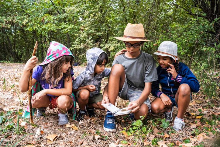 Young minds engrossed in a forest guidebook. A group of children learning and bonding through shared outdoor education and discovery