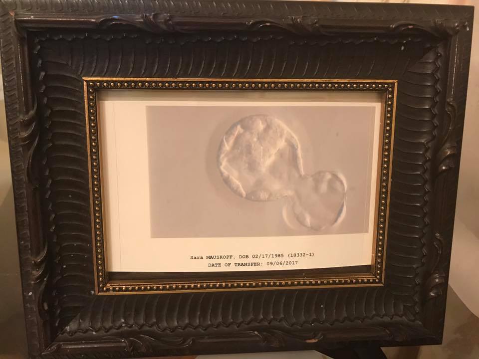 embryo