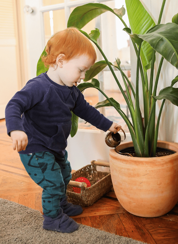 child playing with plant